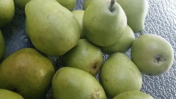 reaching for pear