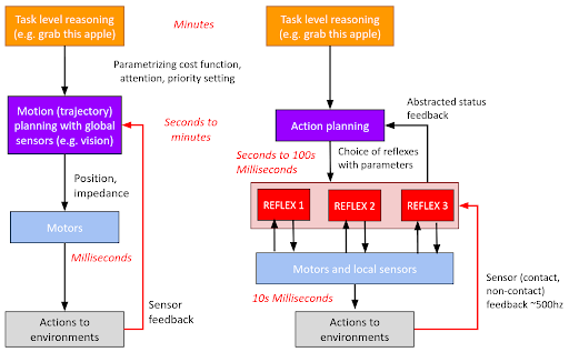 reflex diagram